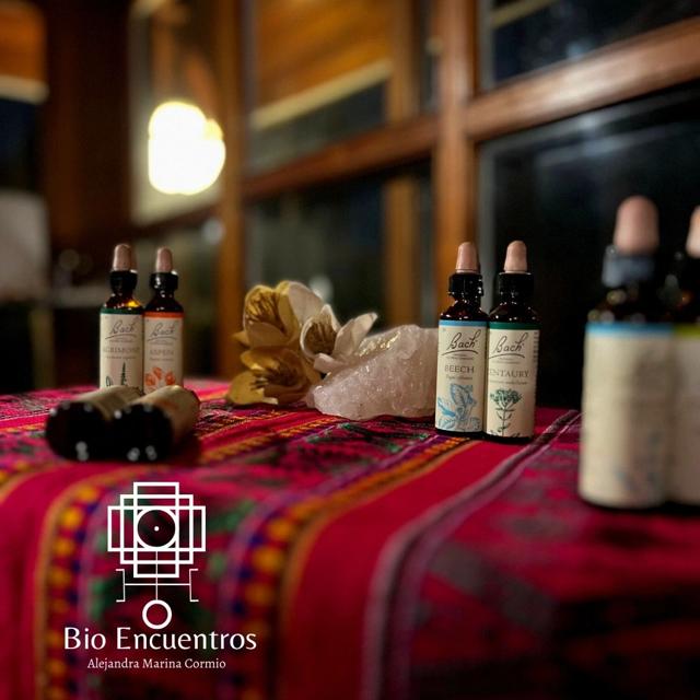 Flores de Bach - Gotero 30 ml