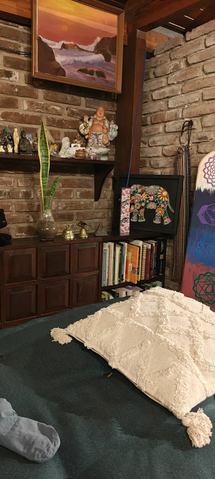 Camilla preparada en la sala de BioEncuentros, con libros, plantas y objetos